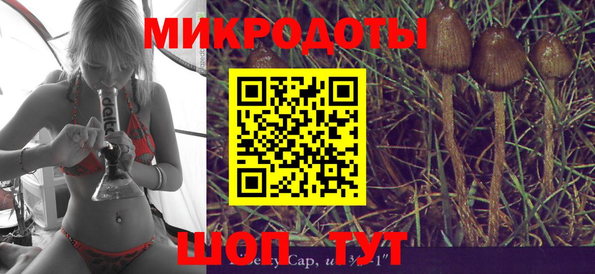 Галлюциногенные грибы Psilocybe Жигулёвск
