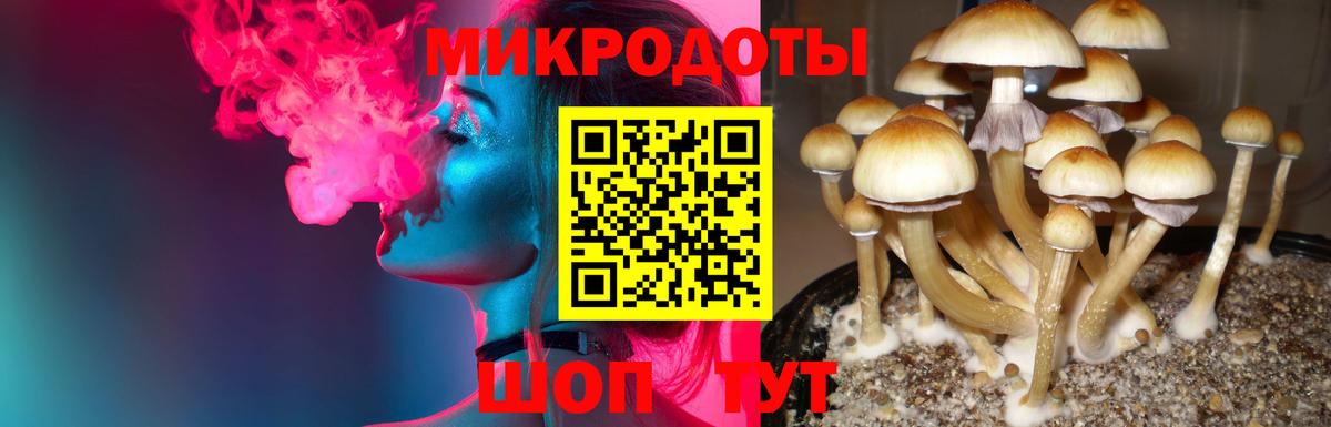 Псилоцибиновые грибы ЛСД  купить закладку  Жигулёвск  Галлюциногенные грибы Magic Shrooms  Вход с VPN 